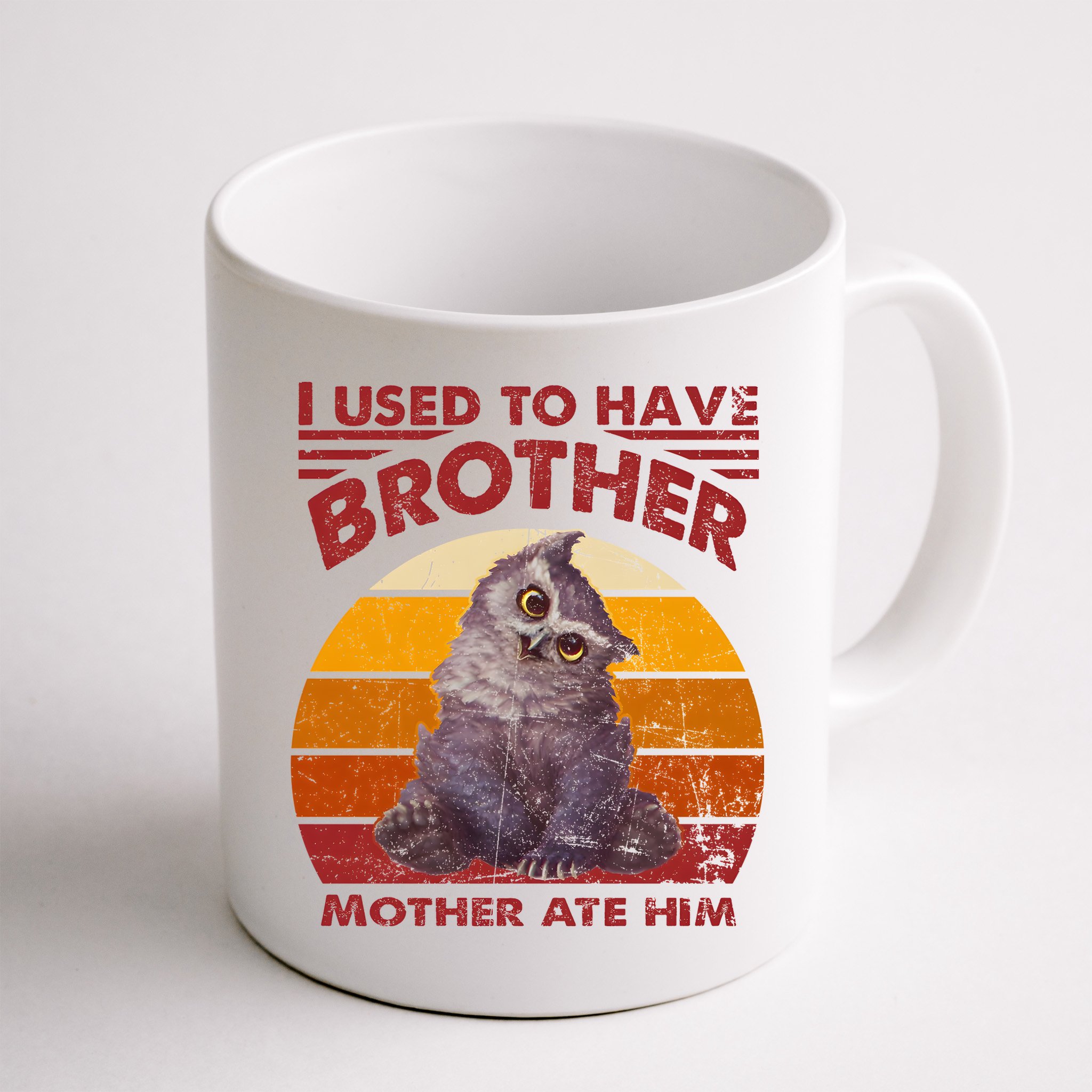 Owlbear Cub BaldurS Gate 3 I Used To Have Brother Vintage Mug