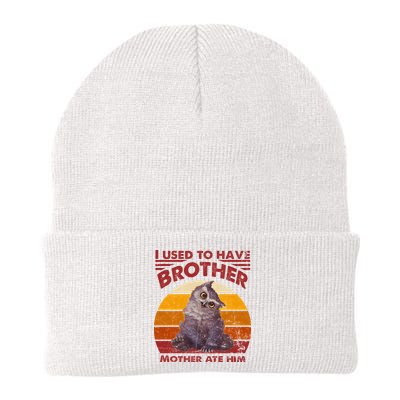 Owlbear Cub BaldurS Gate 3 I Used To Have Brother Vintage Beanie