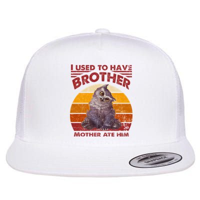 Owlbear Cub BaldurS Gate 3 I Used To Have Brother Vintage Flatbill Hat