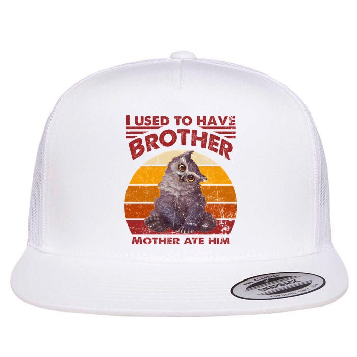Owlbear Cub BaldurS Gate 3 I Used To Have Brother Vintage Flat Bill Trucker Hat