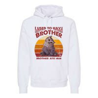 Owlbear Cub BaldurS Gate 3 I Used To Have Brother Vintage Premium Hoodie