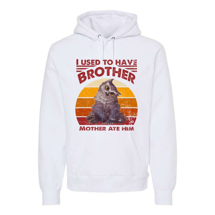 Owlbear Cub BaldurS Gate 3 I Used To Have Brother Vintage Premium Hoodie