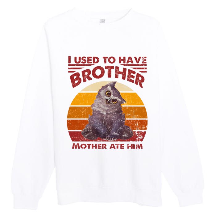 Owlbear Cub BaldurS Gate 3 I Used To Have Brother Vintage Premium Crewneck Sweatshirt