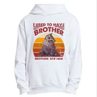 Owlbear Cub BaldurS Gate 3 I Used To Have Brother Vintage Urban Pullover Hoodie