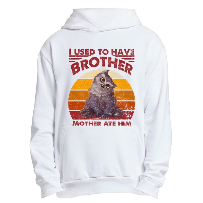 Owlbear Cub BaldurS Gate 3 I Used To Have Brother Vintage Urban Pullover Hoodie