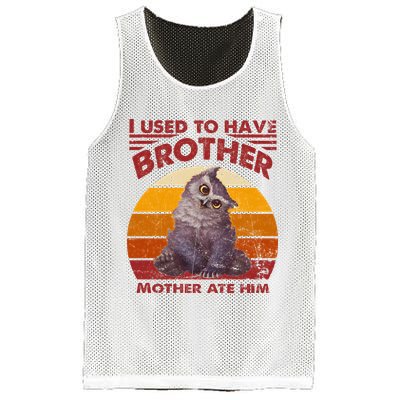 Owlbear Cub BaldurS Gate 3 I Used To Have Brother Vintage Mesh Reversible Basketball Jersey Tank