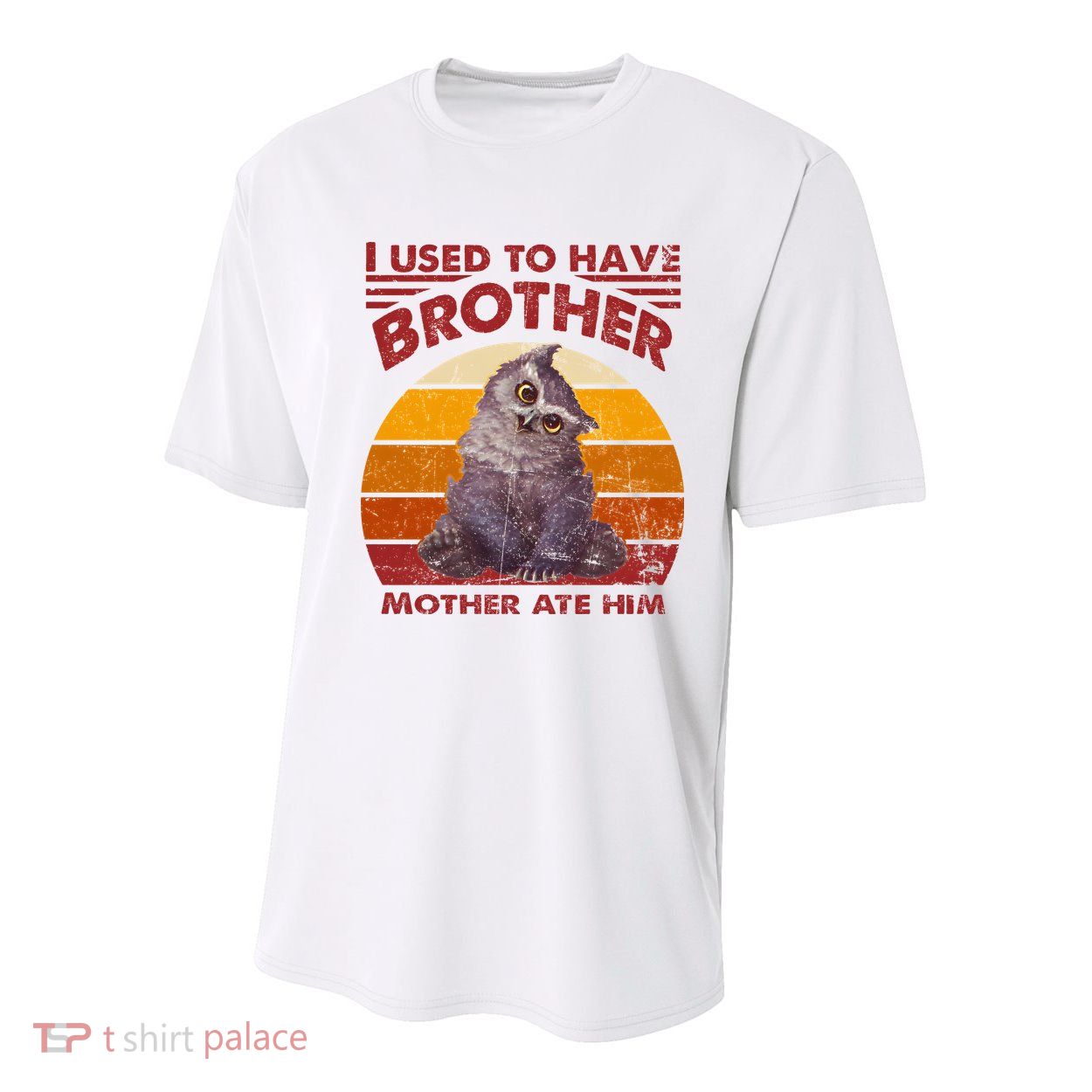 Owlbear Cub BaldurS Gate 3 I Used To Have Brother Vintage Youth Performance Sprint T-Shirt