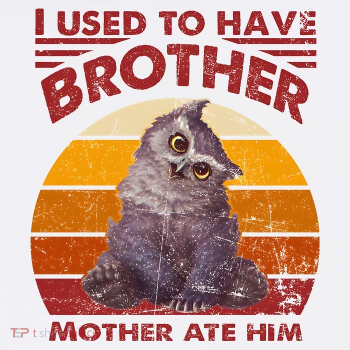 Owlbear Cub BaldurS Gate 3 I Used To Have Brother Vintage Toddler T-Shirt