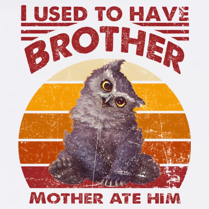 Owlbear Cub BaldurS Gate 3 I Used To Have Brother Vintage Visor