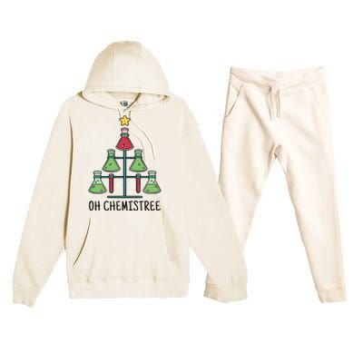 Oh Chemistree Chemistry Christmas Gift Premium Hooded Sweatsuit Set