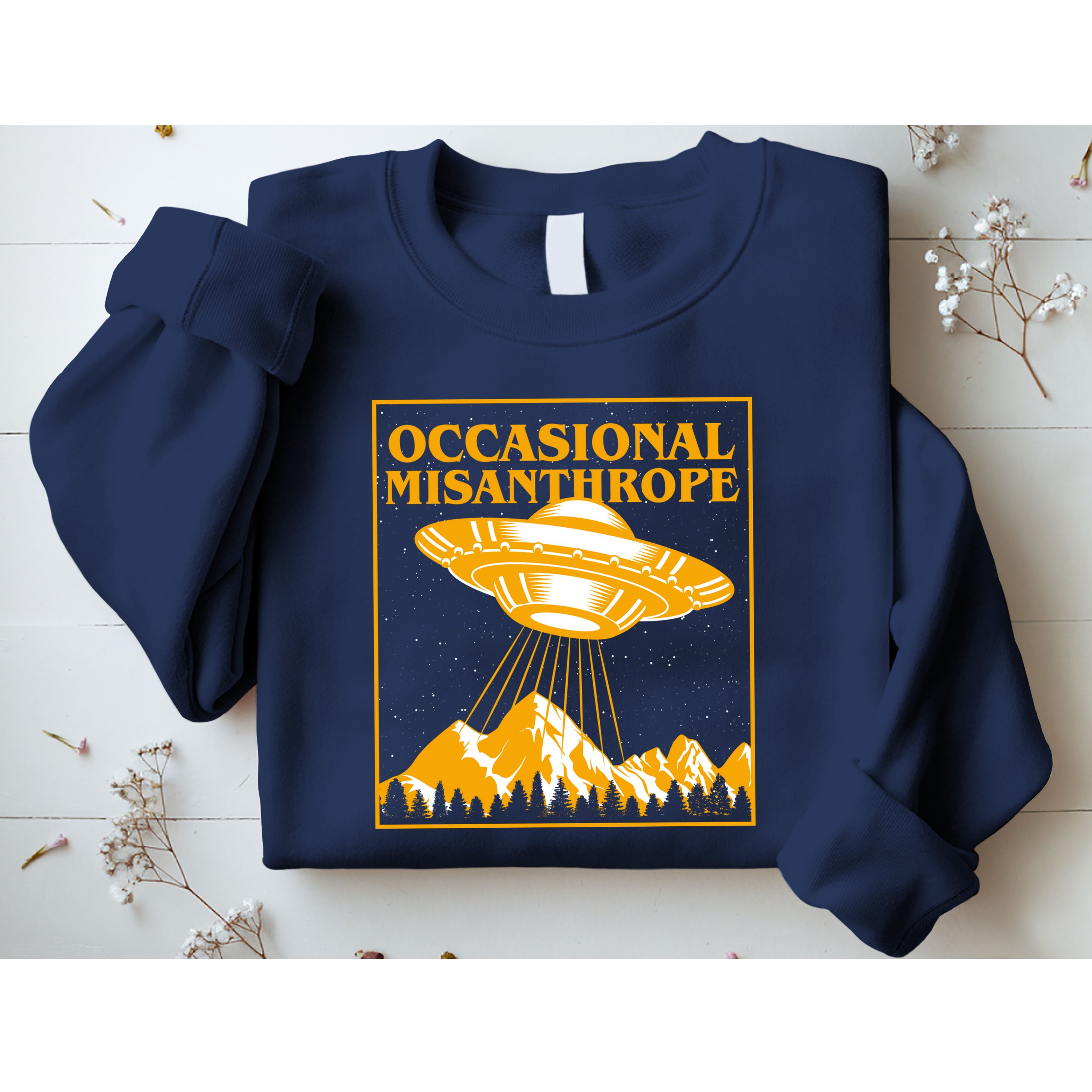 Occasional Misanthrope UFO Sweatshirt