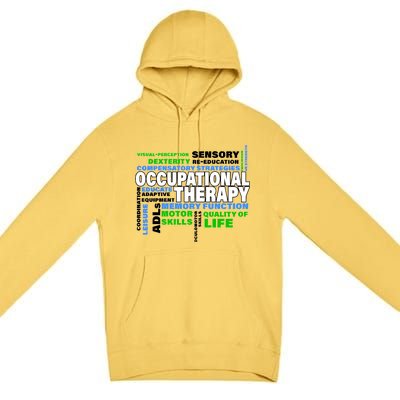 Occupational Therapy Word Cloud Premium Pullover Hoodie