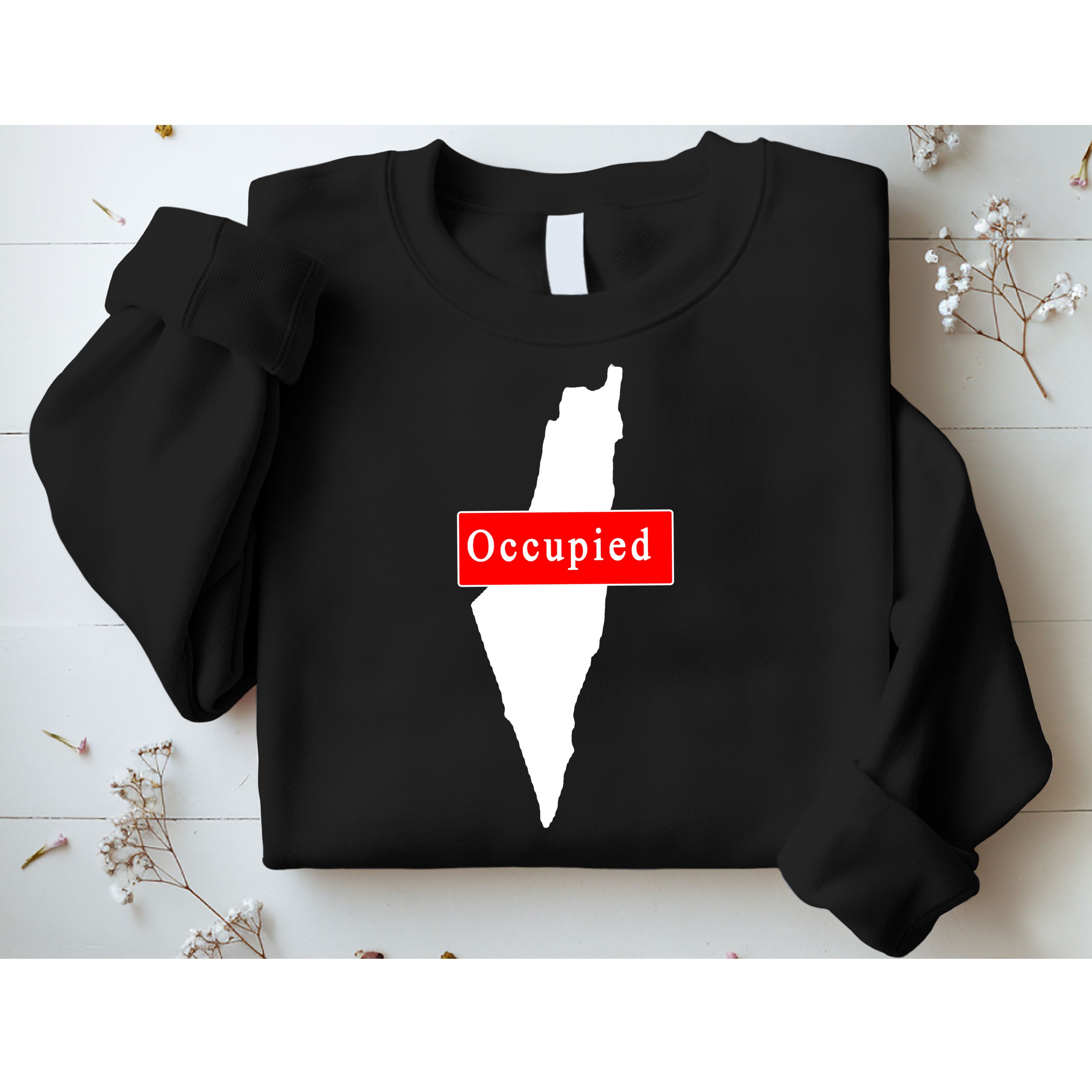 Occupied Palestine Free Gaza Anti Israel Sweatshirt