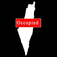 Occupied Palestine Free Gaza Anti Israel Womens T-Shirt