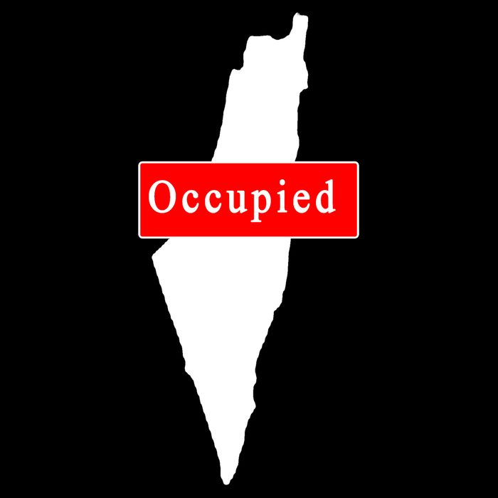 Occupied Palestine Free Gaza Anti Israel Womens T-Shirt