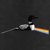 Original Classic Dark Side Of The Loon Bird Watching Beanie