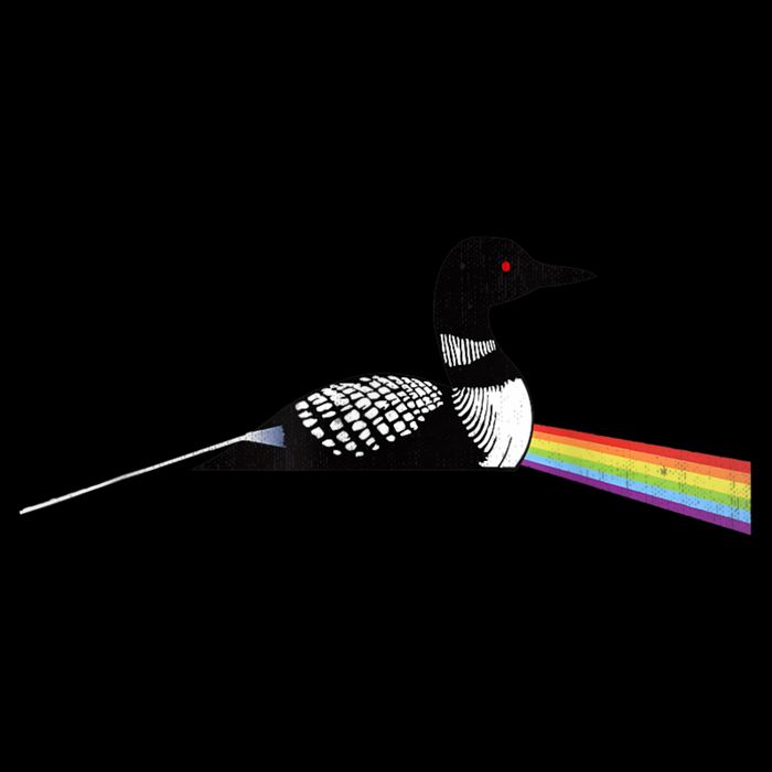 Original Classic Dark Side Of The Loon Bird Watching Flat Bill Trucker Hat
