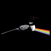 Original Classic Dark Side Of The Loon Bird Watching 16 in Basic Backpack