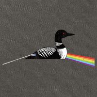 Original Classic Dark Side Of The Loon Bird Watching Cotton Canvas Backpack