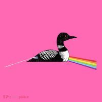 Original Classic Dark Side Of The Loon Bird Watching Stripe Pom Pom Beanie