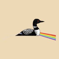 Original Classic Dark Side Of The Loon Bird Watching Zip Tote Bag