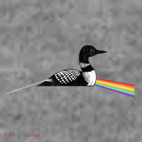 Original Classic Dark Side Of The Loon Bird Watching 7-Panel Snapback Hat