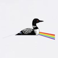 Original Classic Dark Side Of The Loon Bird Watching Tall T-Shirt