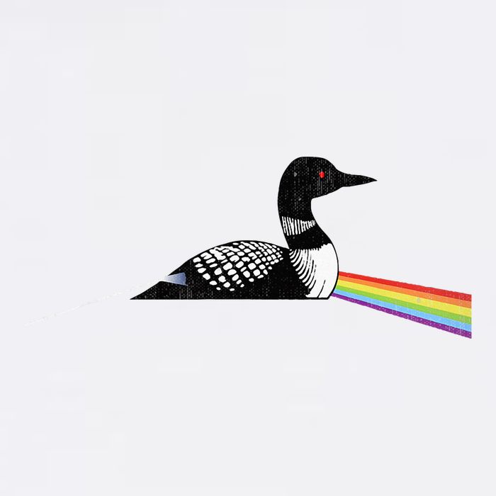 Original Classic Dark Side Of The Loon Bird Watching Mesh Reversible Basketball Jersey Tank