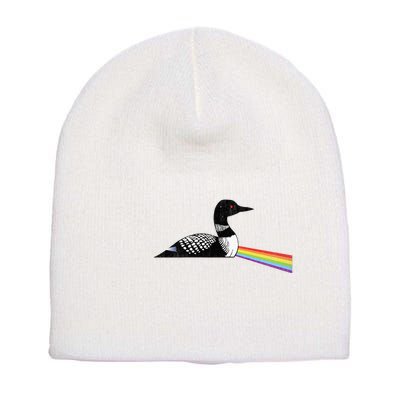 Original Classic Dark Side Of The Loon Bird Watching Short Acrylic Beanie