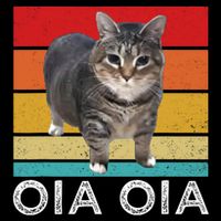 Oia Cat Meme I Wake Up Engage in Tomfoolery Oiia Cat Spinnin  Button