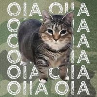 Oia Cat Meme I Wake Up Engage In Tomfoolery Oiia Cat Spinnin Legacy Tie Dye Trucker Hat