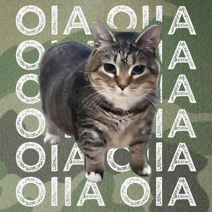 Oia Cat Meme I Wake Up Engage In Tomfoolery Oiia Cat Spinnin Legacy Tie Dye Trucker Hat