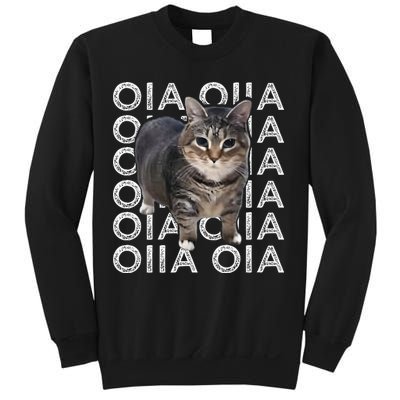 Oia Cat Meme I Wake Up Engage In Tomfoolery Oiia Cat Spinnin Sweatshirt