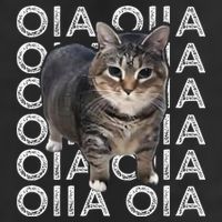 Oia Cat Meme I Wake Up Engage In Tomfoolery Oiia Cat Spinnin Adult Drive Performance Visor