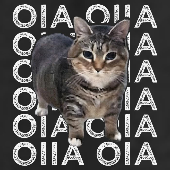 Oia Cat Meme I Wake Up Engage In Tomfoolery Oiia Cat Spinnin Adult Drive Performance Visor