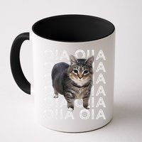 Oia Cat Meme I Wake Up Engage In Tomfoolery Oiia Cat Spinnin Mug
