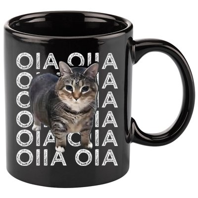 Oia Cat Meme I Wake Up Engage In Tomfoolery Oiia Cat Spinnin 11oz C Handle Ceramic Mug