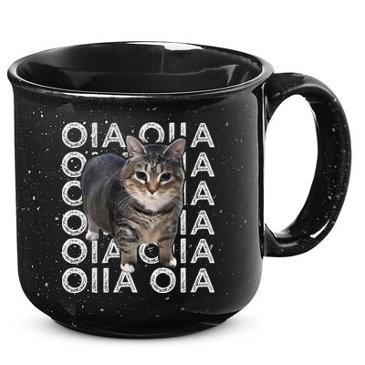 Oia Cat Meme I Wake Up Engage In Tomfoolery Oiia Cat Spinnin 15oz Campfire Ceramic Mug