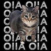 Oia Cat Meme I Wake Up Engage In Tomfoolery Oiia Cat Spinnin Drawstring Bag