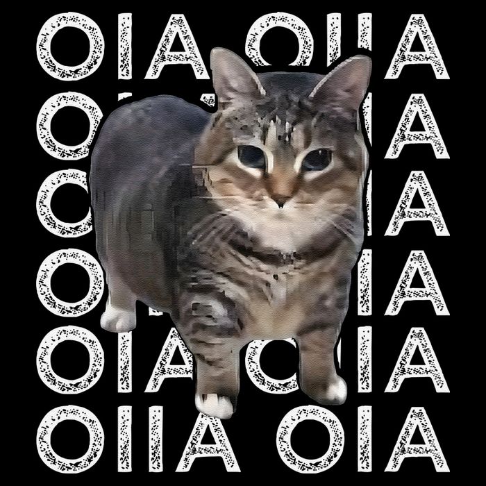 Oia Cat Meme I Wake Up Engage In Tomfoolery Oiia Cat Spinnin Drawstring Bag