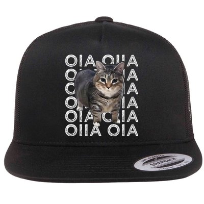 Oia Cat Meme I Wake Up Engage In Tomfoolery Oiia Cat Spinnin Flatbill Hat