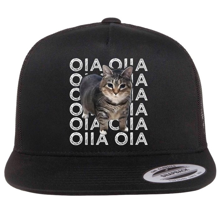 Oia Cat Meme I Wake Up Engage In Tomfoolery Oiia Cat Spinnin Flat Bill Trucker Hat