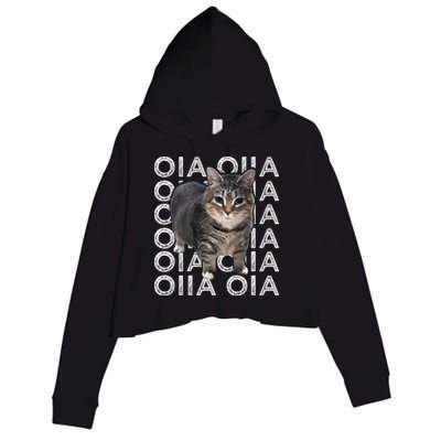 Oia Cat Meme I Wake Up Engage In Tomfoolery Oiia Cat Spinnin Crop Fleece Hoodie