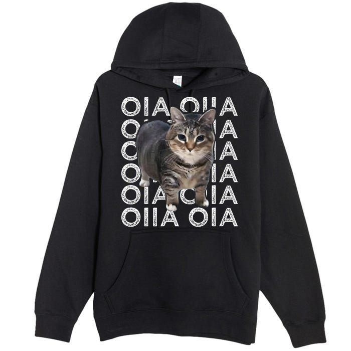 Oia Cat Meme I Wake Up Engage In Tomfoolery Oiia Cat Spinnin Premium Pullover Hoodie