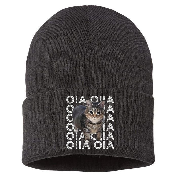 Oia Cat Meme I Wake Up Engage In Tomfoolery Oiia Cat Spinnin Sustainable Knit Beanie