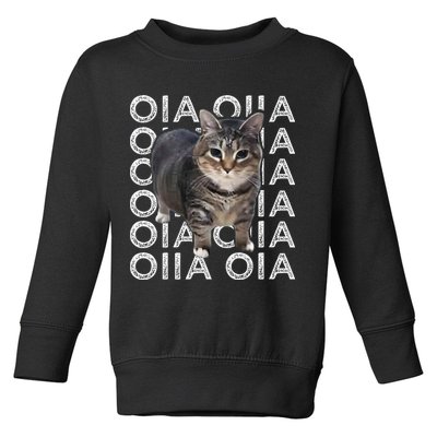 Oia Cat Meme I Wake Up Engage In Tomfoolery Oiia Cat Spinnin Toddler Sweatshirt