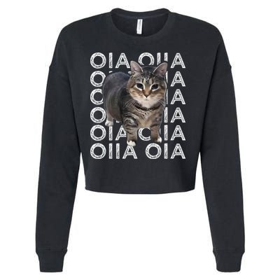 Oia Cat Meme I Wake Up Engage In Tomfoolery Oiia Cat Spinnin Cropped Pullover Crew