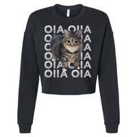 Oia Cat Meme I Wake Up Engage In Tomfoolery Oiia Cat Spinnin Cropped Pullover Crew