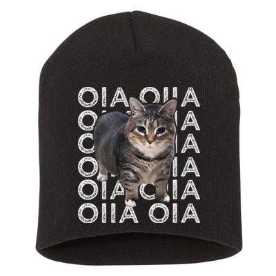 Oia Cat Meme I Wake Up Engage In Tomfoolery Oiia Cat Spinnin Short Acrylic Beanie