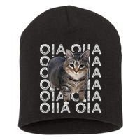 Oia Cat Meme I Wake Up Engage In Tomfoolery Oiia Cat Spinnin Short Acrylic Beanie
